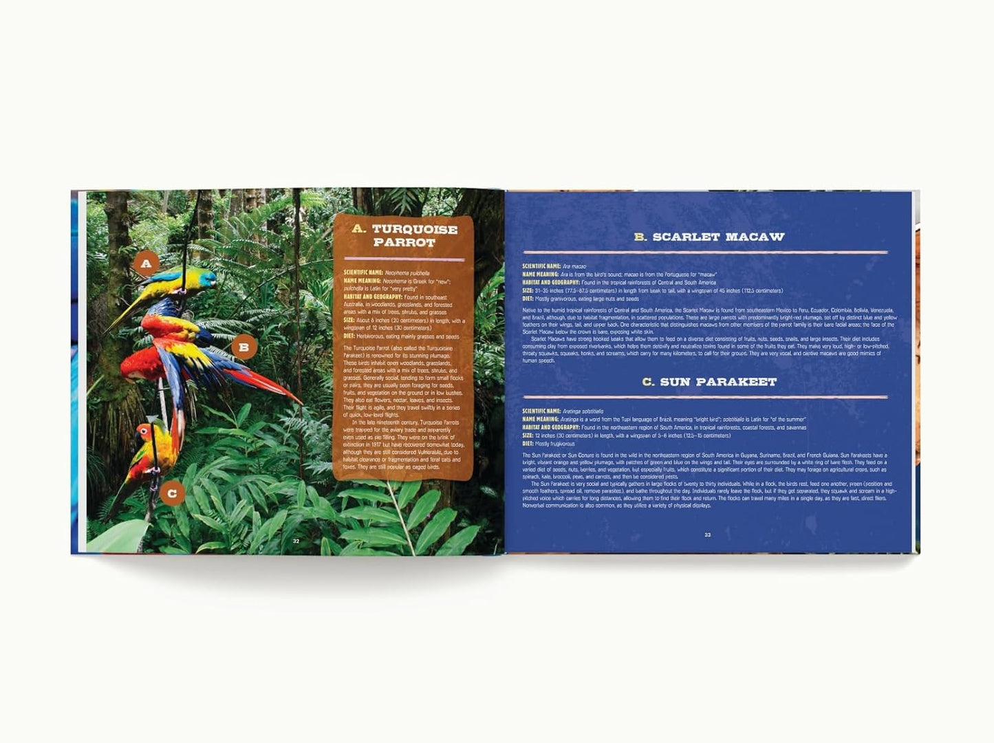Discovering Birds: The Ultimate Handbook to the Birds of the World