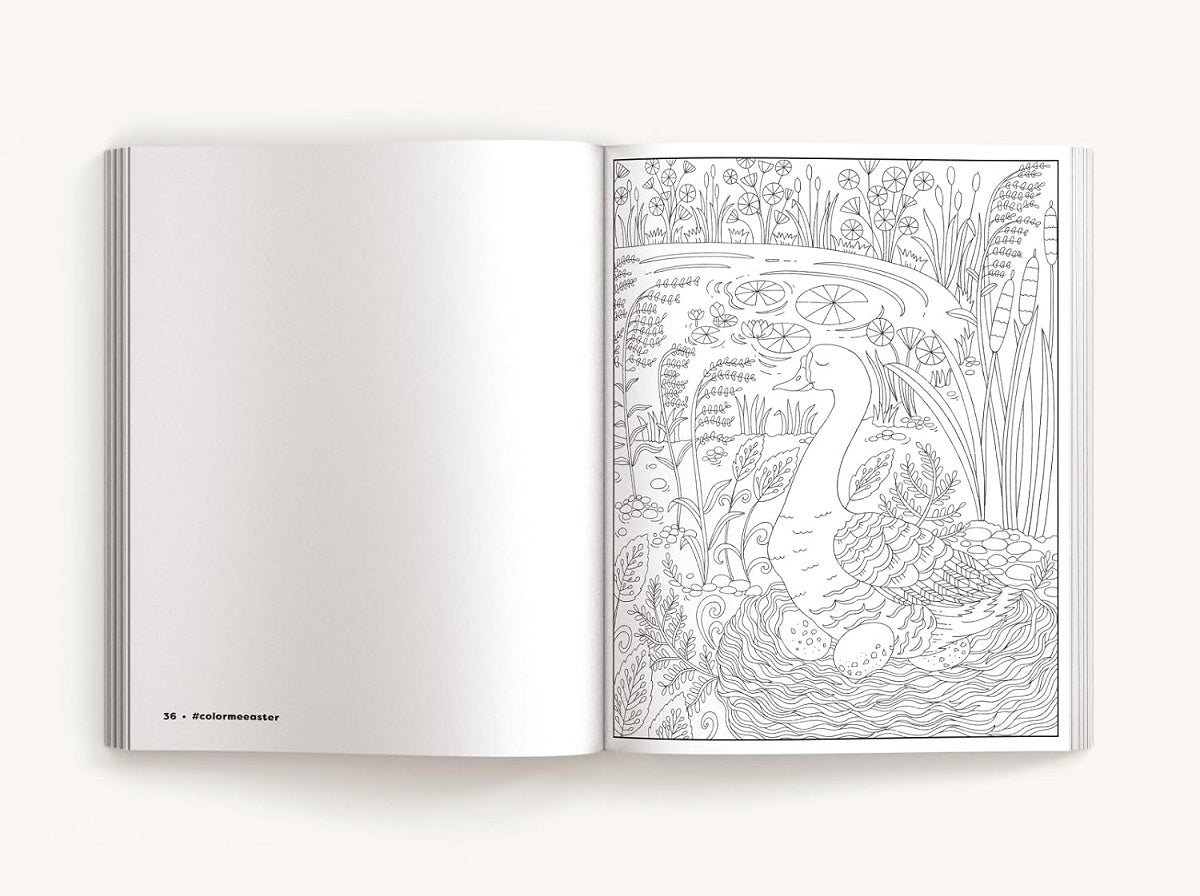 Color Me Easter: An Adorable Springtime Coloring Book