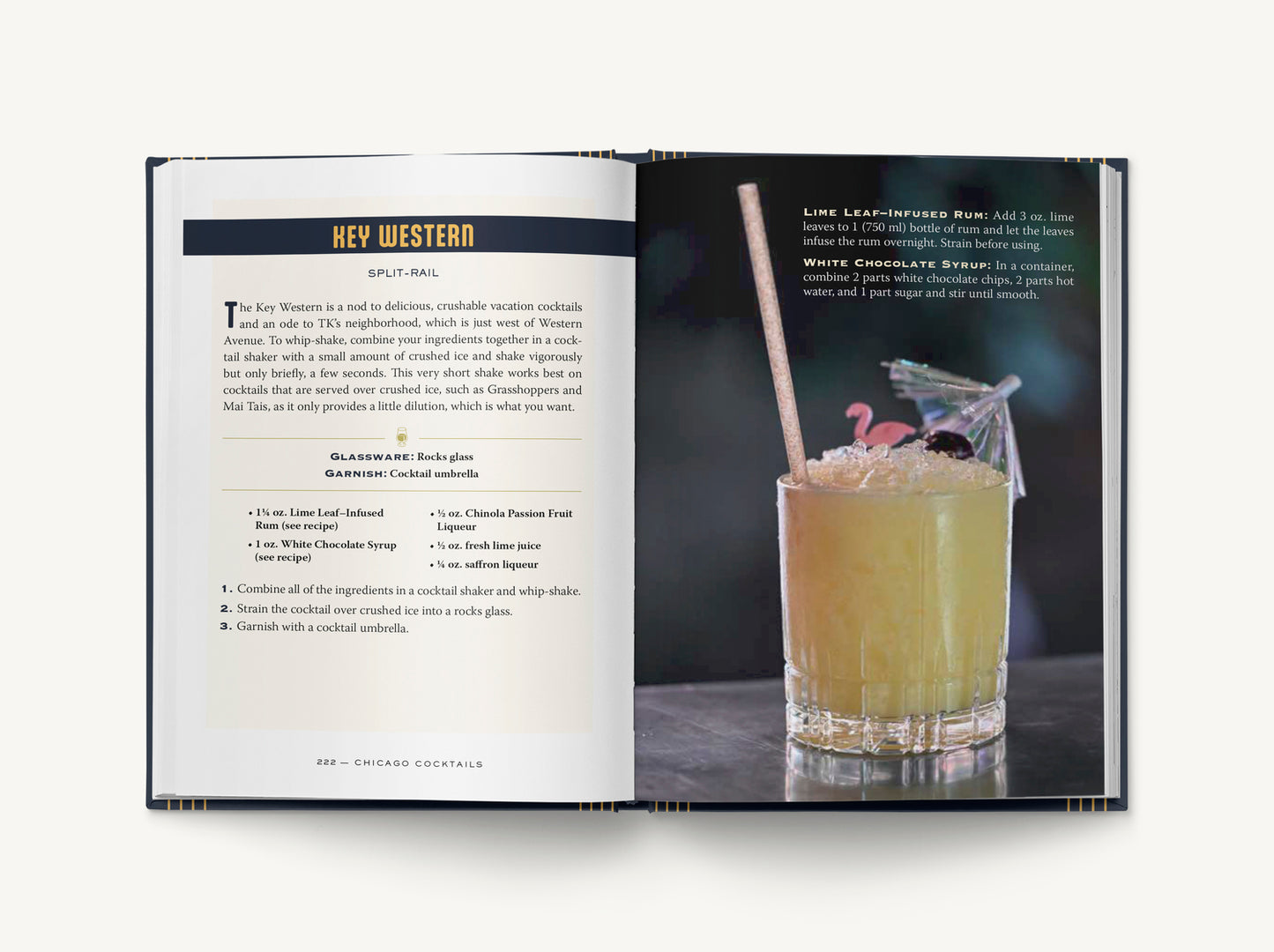 Chicago Cocktails: An Elegant Collection of Over 100 Recipes Inspired by the Windy City