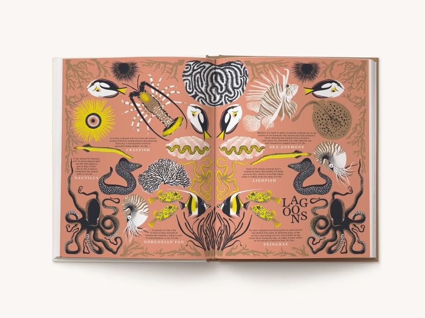 Nature: Discover the World’s Wonderful Habitats