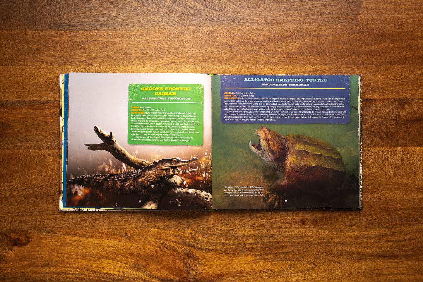 Discovering Reptiles: The Ultimate Handbook to the Reptiles of the World!