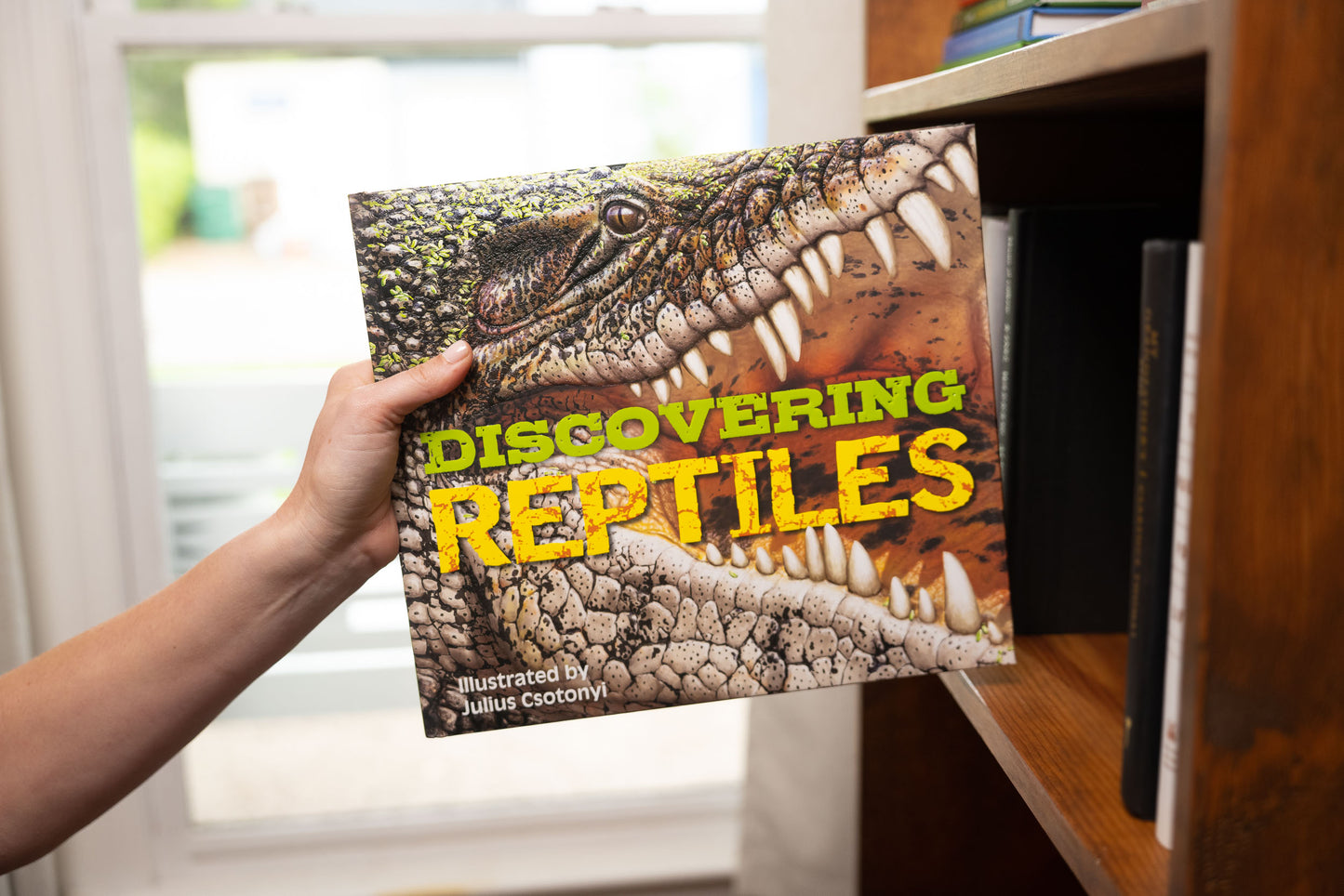 Discovering Reptiles: The Ultimate Handbook to the Reptiles of the World!