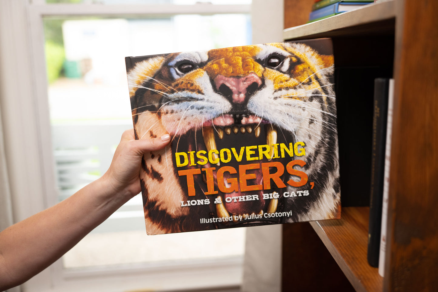 Discovering Tigers, Lions & Other Cats: The Ultimate Handbook to the Big Cats of the World