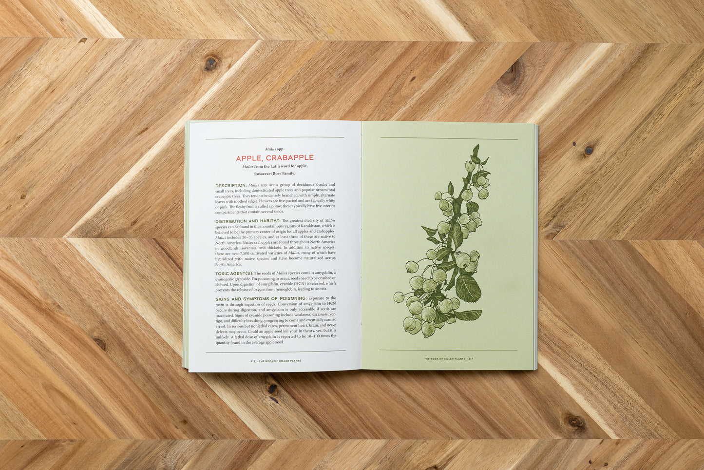 The Book of Killer Plants: A Field Guide to Nature's Deadliest Creations