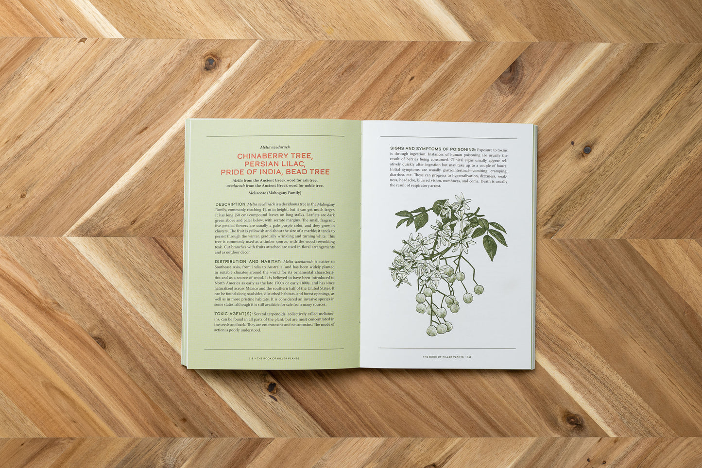 The Book of Killer Plants: A Field Guide to Nature's Deadliest Creations