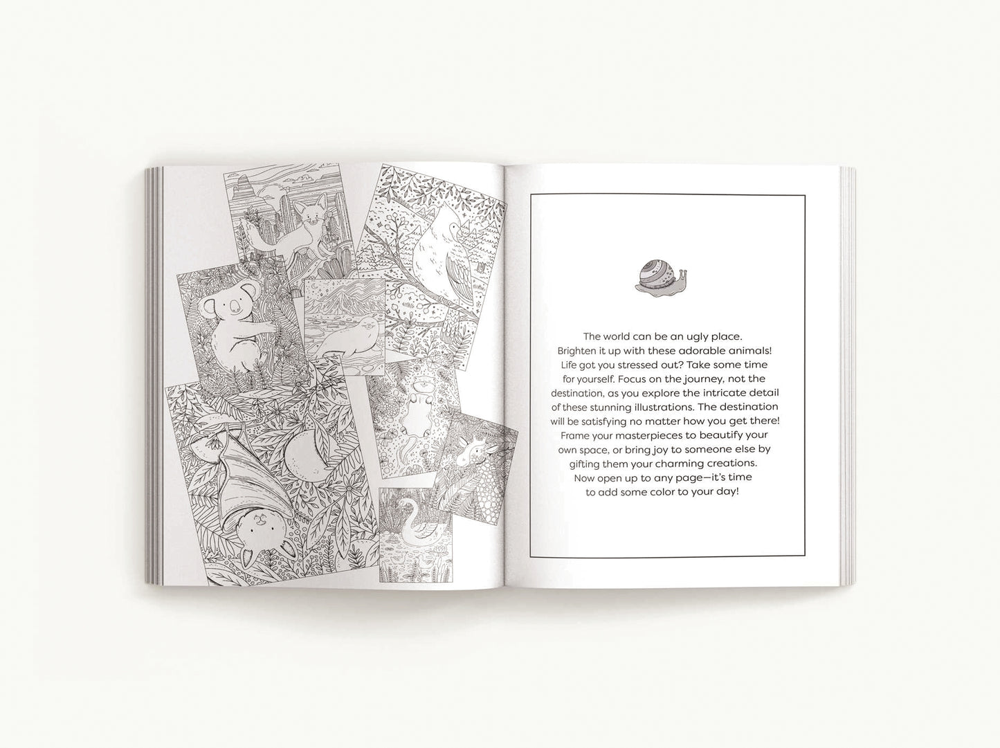 Color Me Critters: An Adorable Adult Coloring Book