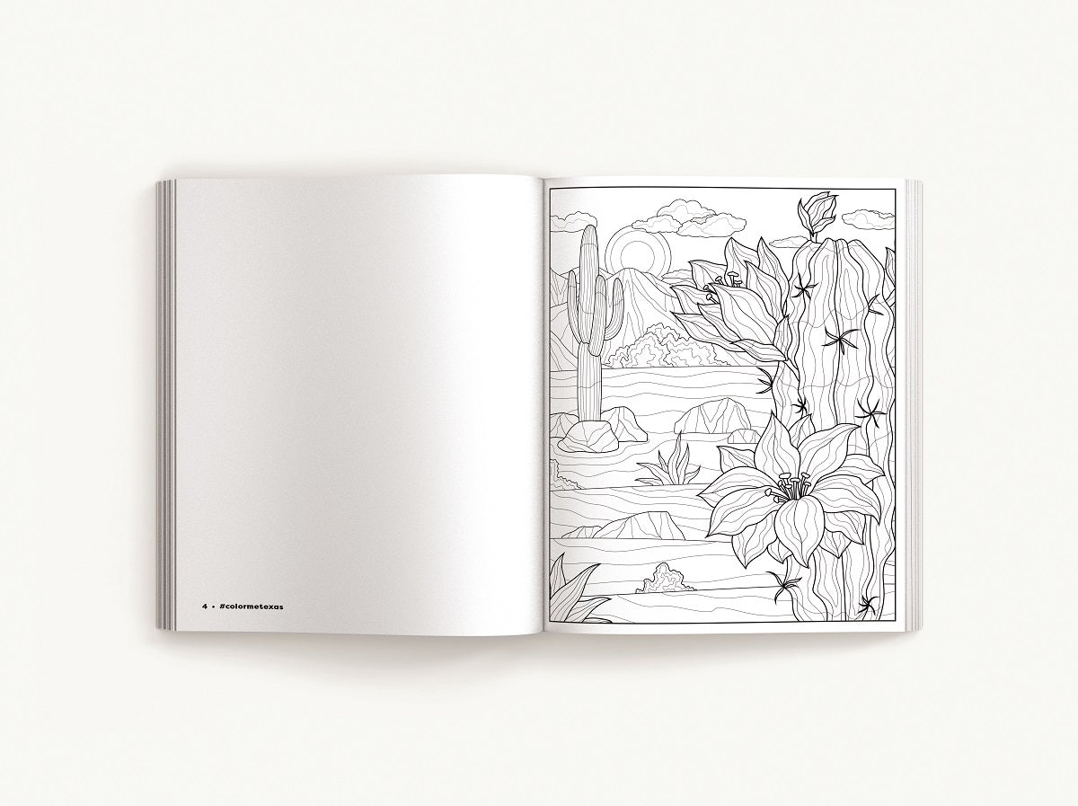 Color Me Texas: A Lone Star State Coloring Book