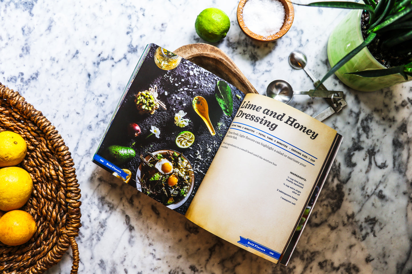 Dressings: Over 200 Recipes for the Perfect Salads, Marinades, Sauces, and Dips