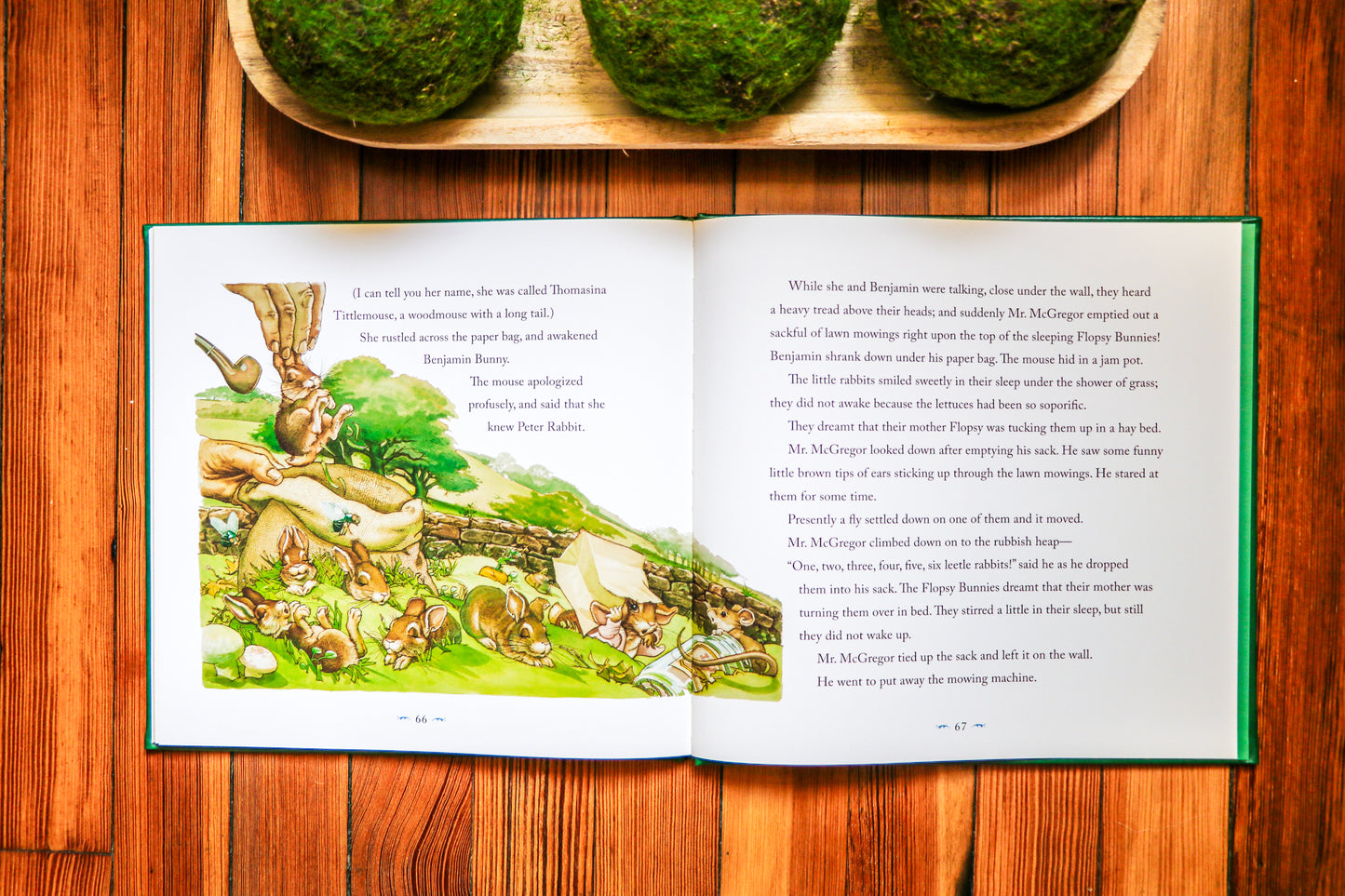 The Classic Tale of Peter Rabbit: The Collectible Leather Edition