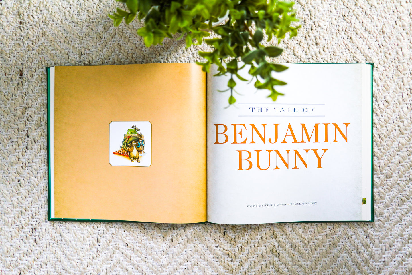 The Classic Tale of Peter Rabbit: The Collectible Leather Edition