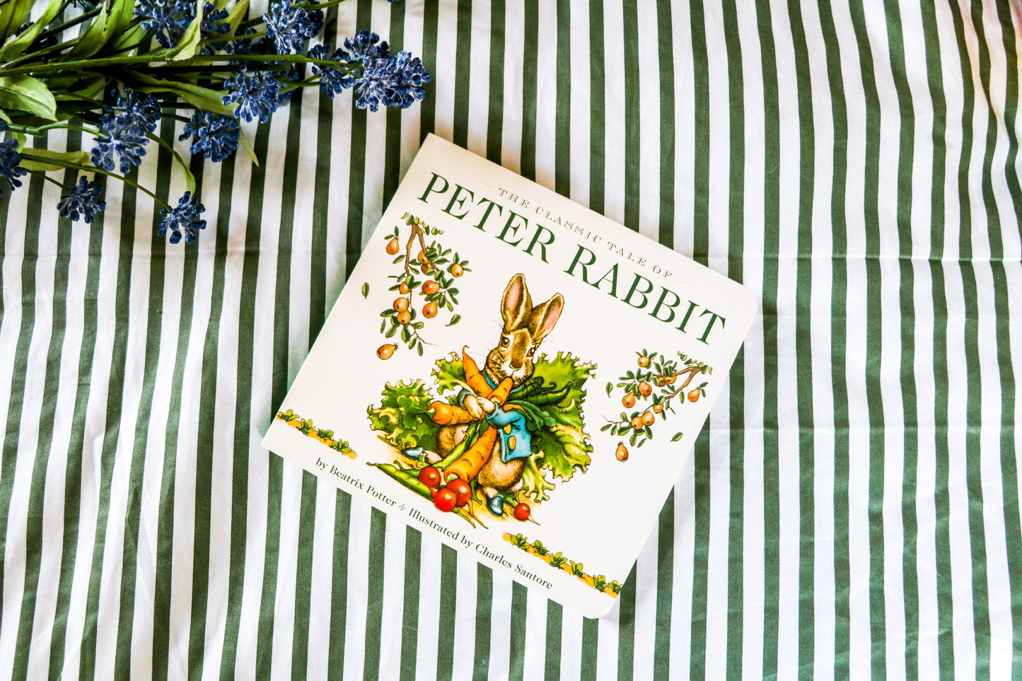 The Classic Tale of Peter Rabbit Board Book (The Revised Edition): Illustrated by acclaimed artist, Charles Santore