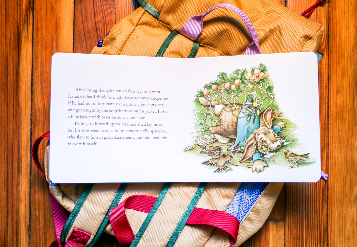 The Classic Tale of Peter Rabbit Board Book (The Revised Edition): Illustrated by acclaimed artist, Charles Santore