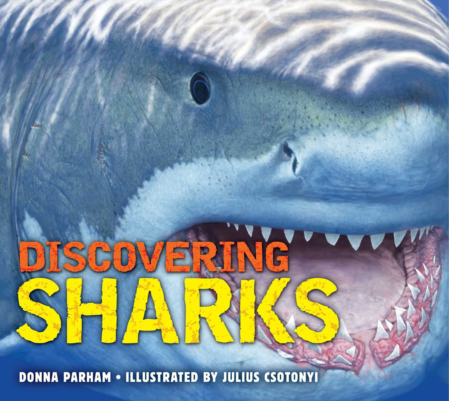 Discovering Sharks: The Ultimate Guide to the Fiercest Predators in the Ocean Deep