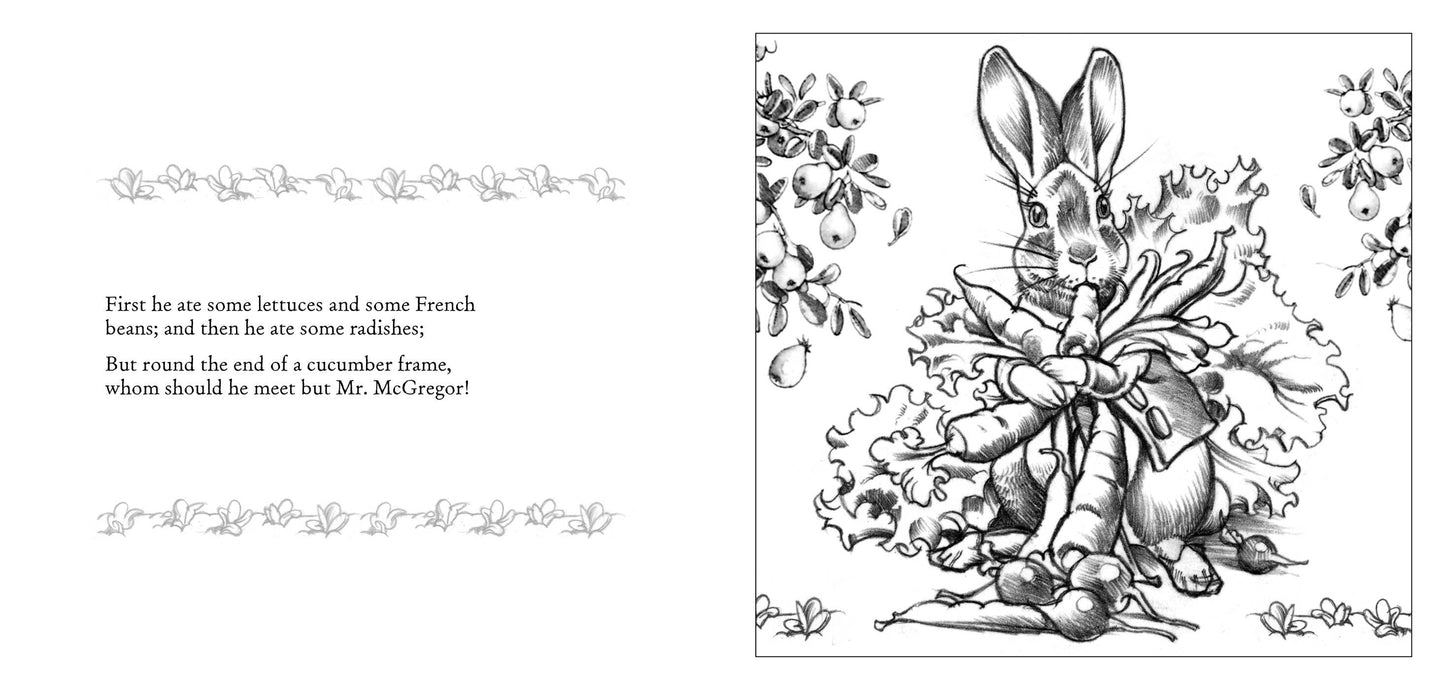 The Peter Rabbit Coloring Book: The Classic Edition Coloring Book