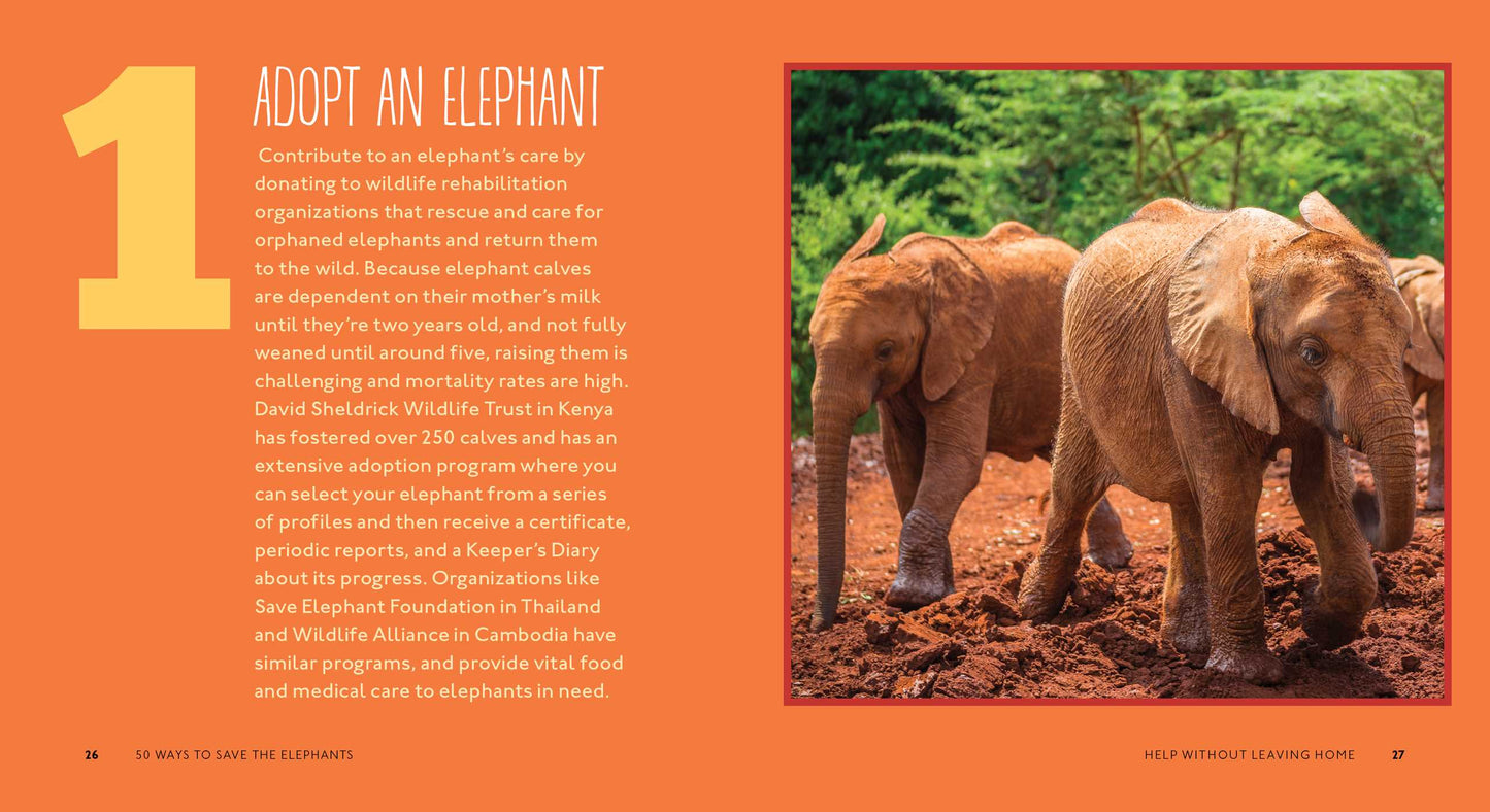 50 Ways to Save the Elephants (and change the world): Simple Ways to Make a Difference in the World