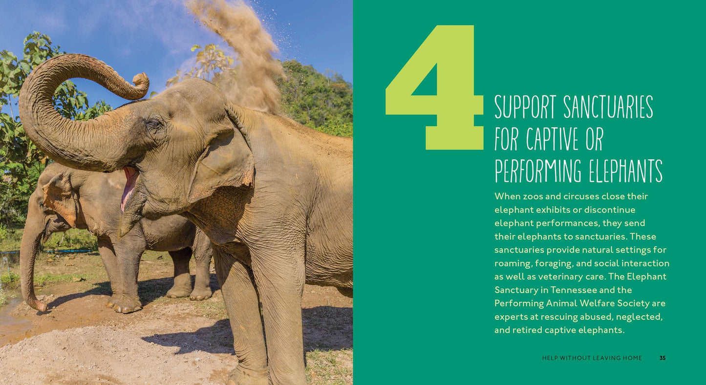 50 Ways to Save the Elephants (and change the world): Simple Ways to Make a Difference in the World