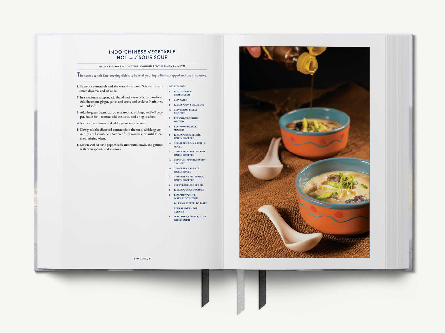 Soup: The Ultimate Book of Soups and Stews