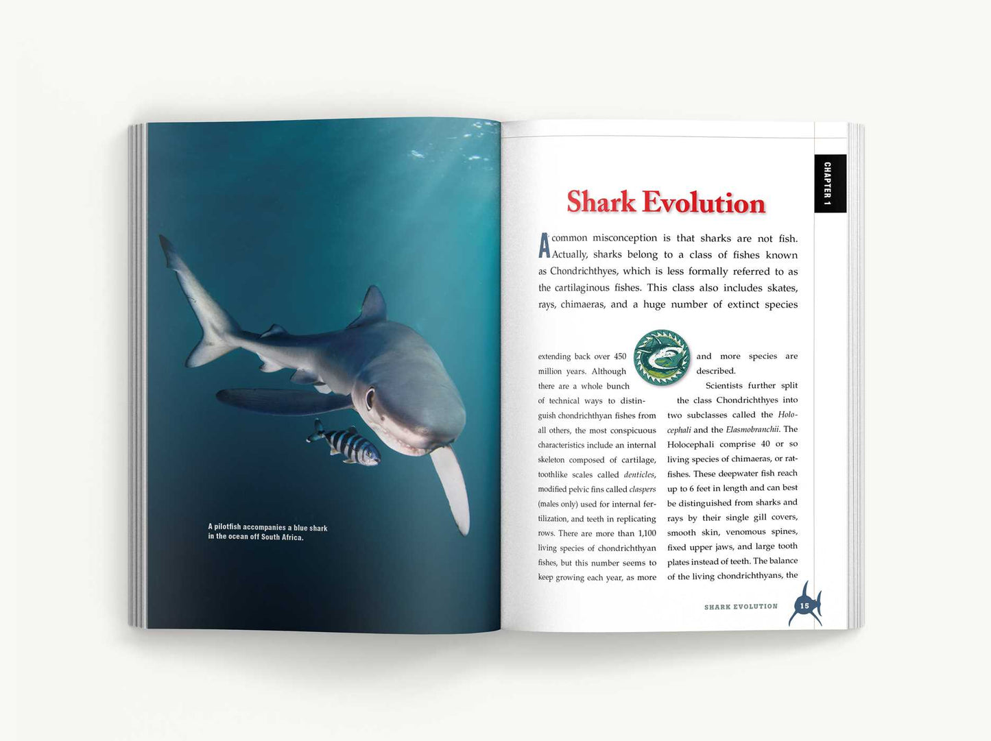 The Shark Handbook: Third Edition: The Essential Guide for Understanding the Sharks of the World (Shark Week Author, Ocean Biology Books, Great White Shark, Aquatic History, Science and Nature Books, Gifts for Shark Fans)