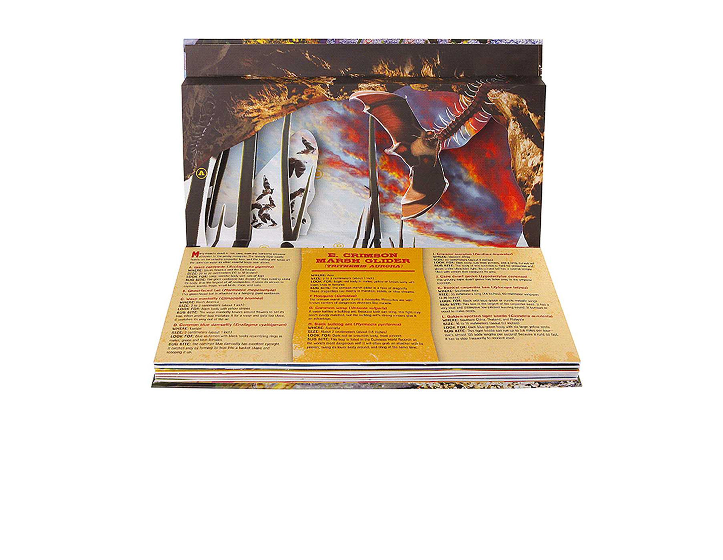 Bug World: A 3-D Pop-Up Book