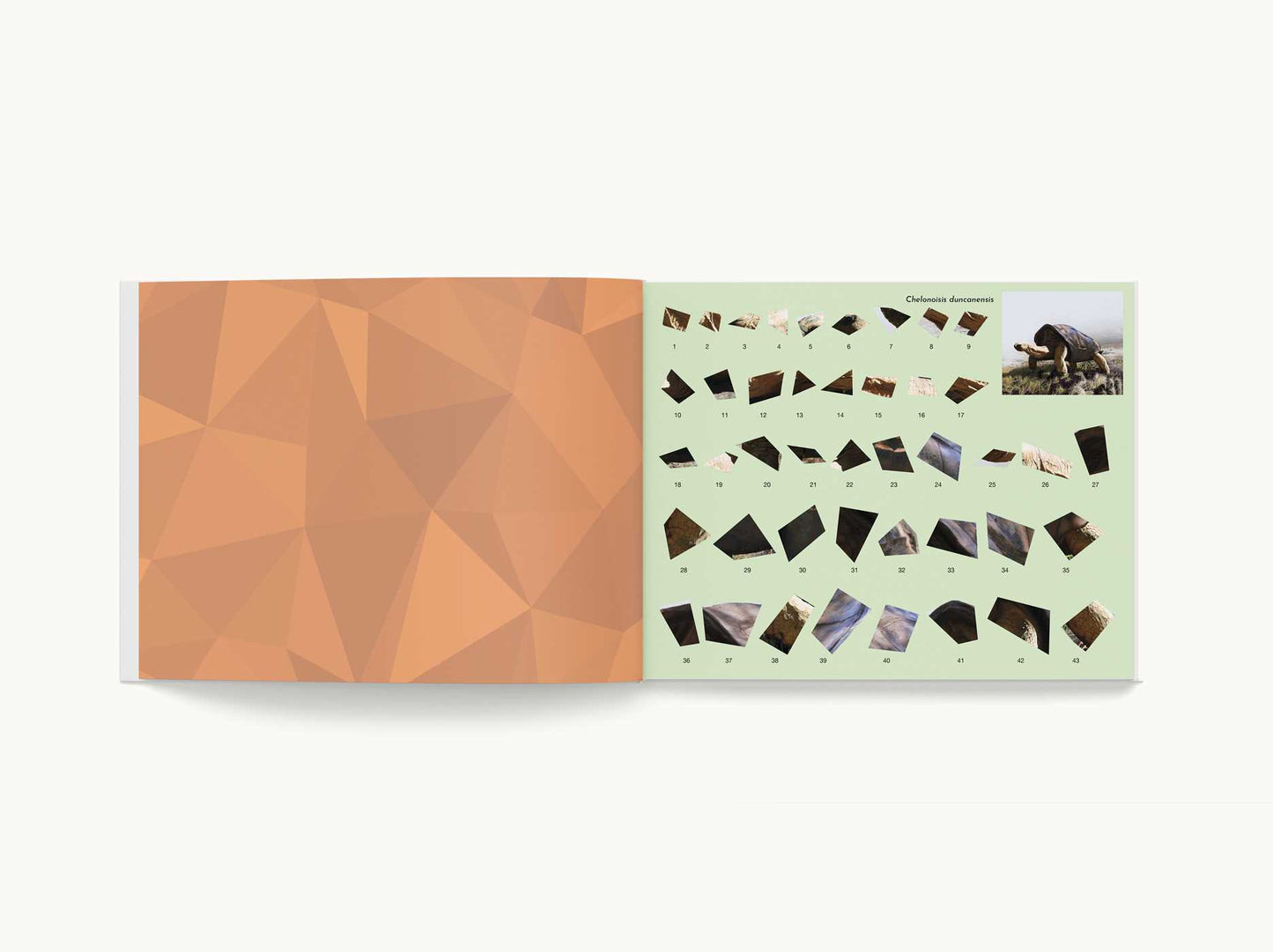 Sticker Mosaics: Reptiles: Sticker Together 12 Unique Reptilian Designs