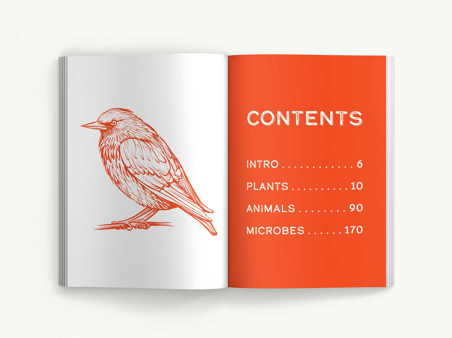 The Book of Invasive Species: 100 Plants, Animals, and Microbes That Made Themselves at Home