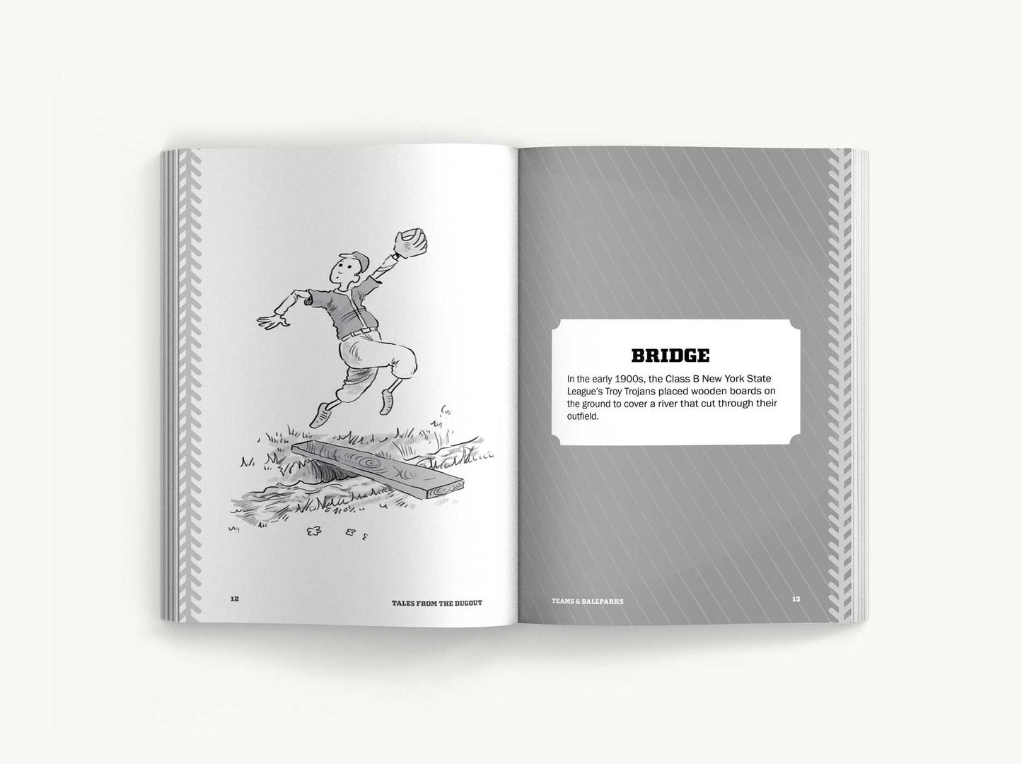 Tales from the Dugout: 1,001 Humorous, Inspirational & Wild Anecdotes from Minor League Baseball