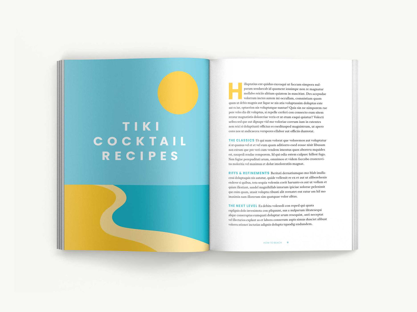 How to Beach: The Professional Beachgoer's Guidebook