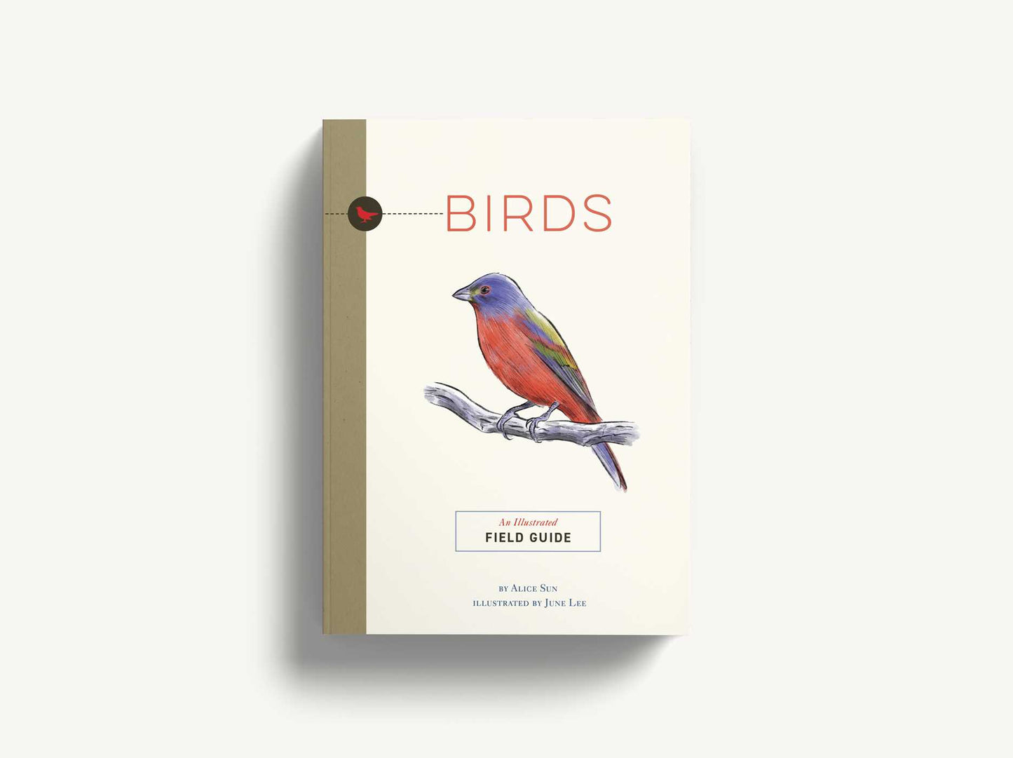 Birds: An Illustrated Field Guide