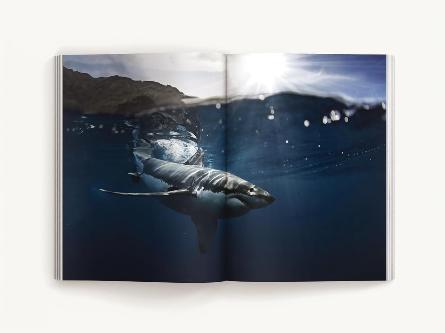 The Great White Shark Handbook: The Definitive Guide to the Most Extraordinary Shark in the Sea