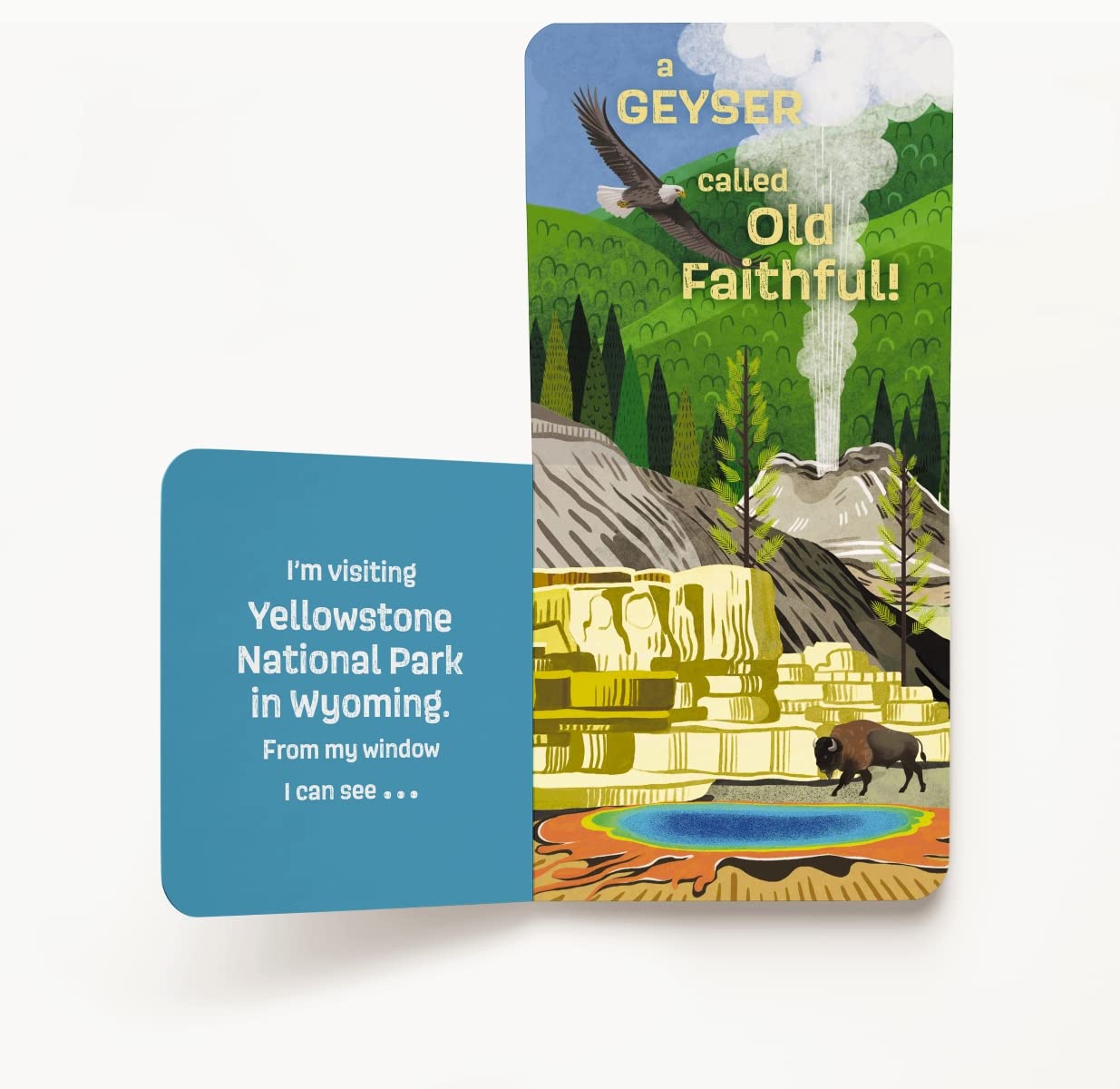 Windows to the National Parks: A Lift-the-Flap Board Book of North