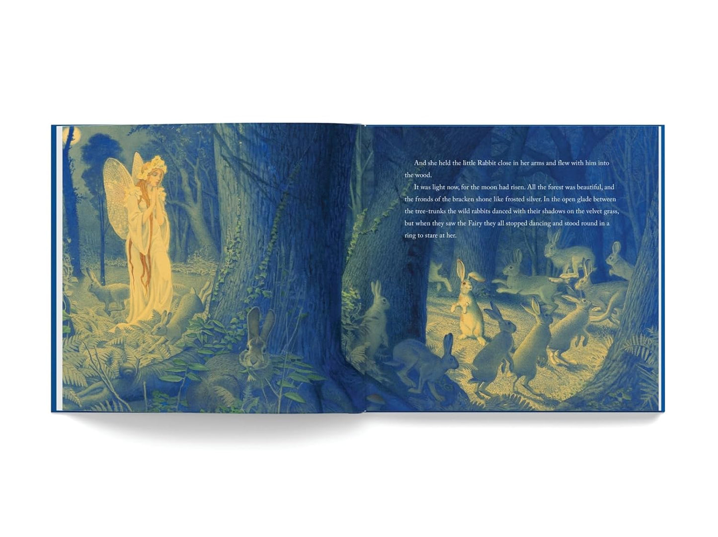 The Velveteen Rabbit: The Collectible Leather Edition