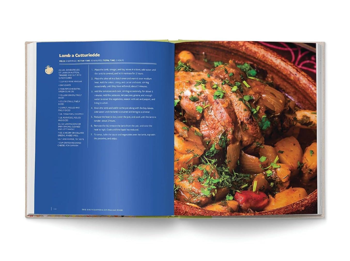 The Encyclopedia of Italian Food: Over 350 Classic Recipes Celebrating Italian Traditions