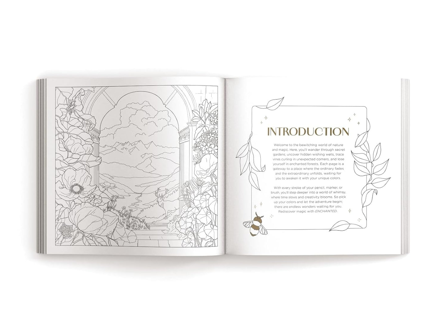 Enchanted: Color Your Way Through Nature's Hidden Gems