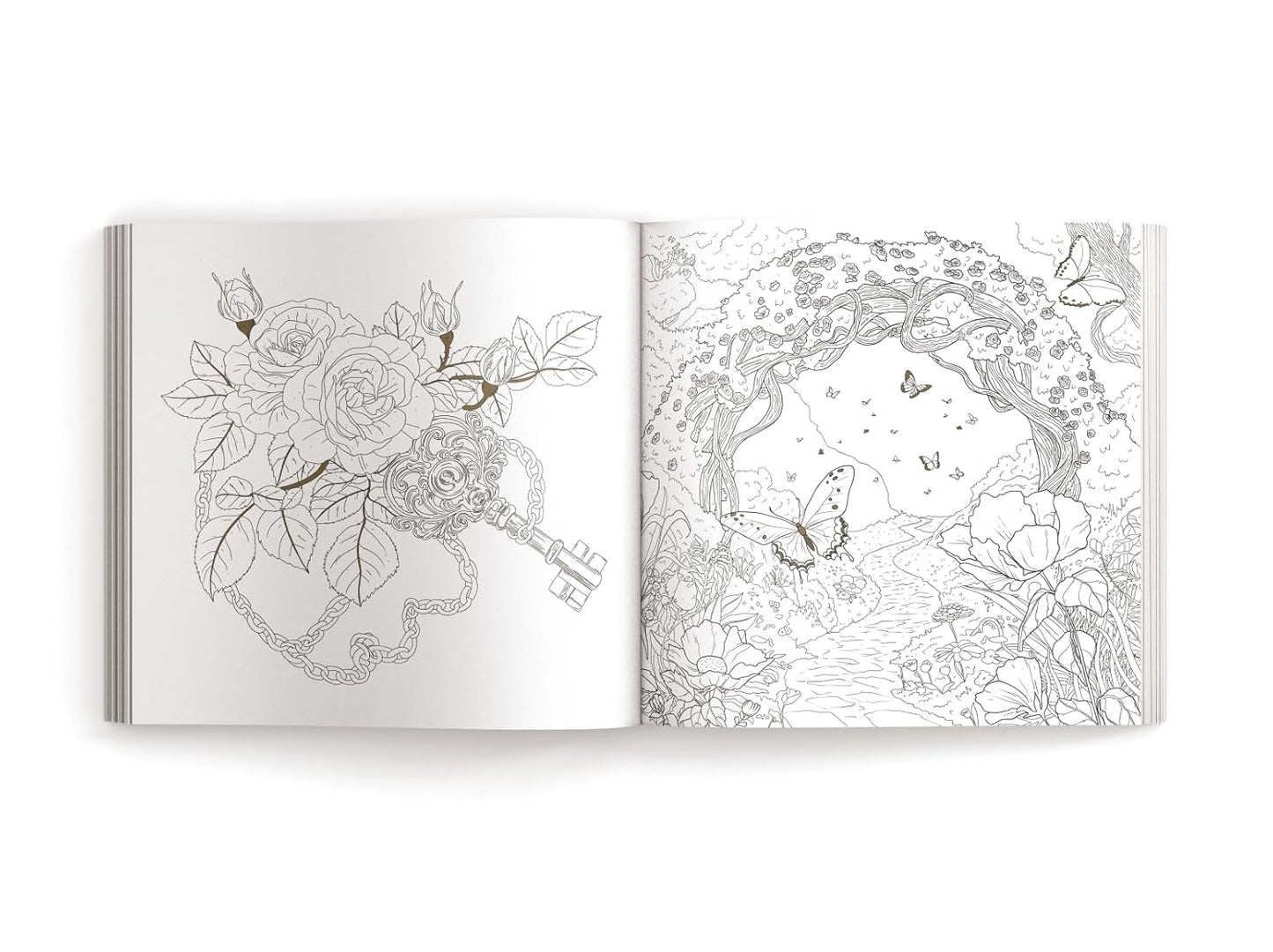 Enchanted: Color Your Way Through Nature's Hidden Gems