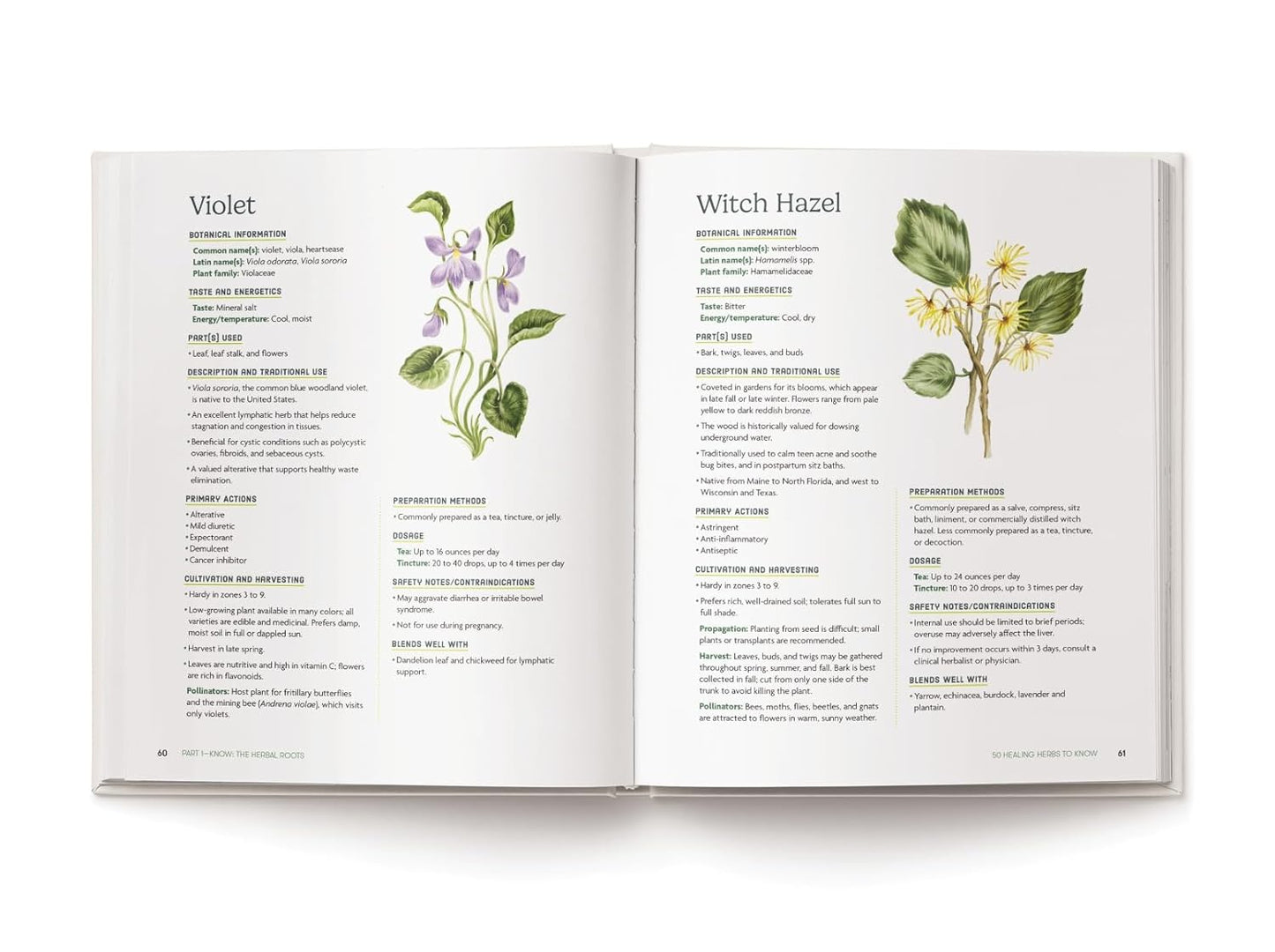 The Essential Home Apothecary Handbook: Herbal Remedies to Know, Grow, Make, and Use