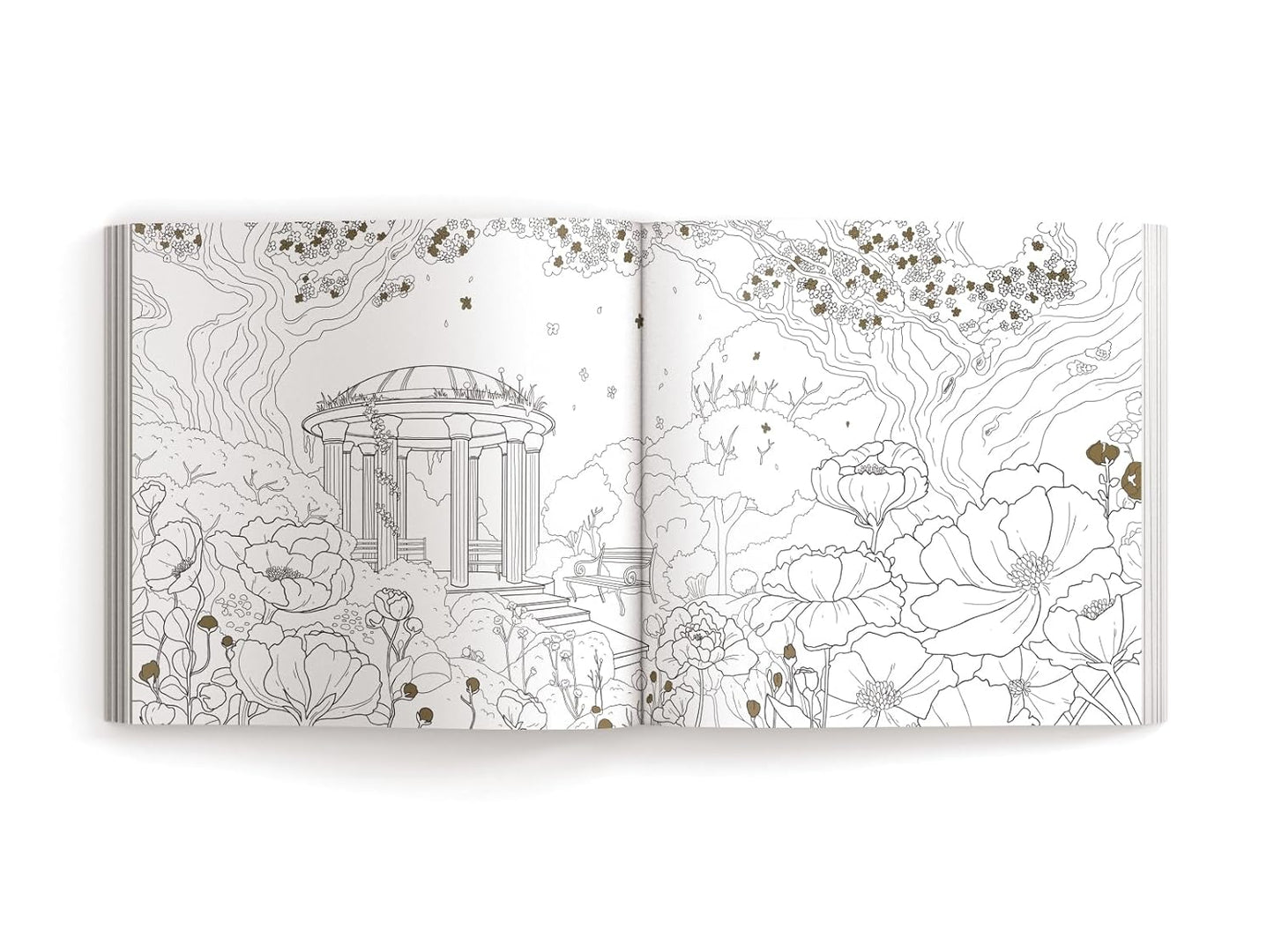 Enchanted: Color Your Way Through Nature's Hidden Gems