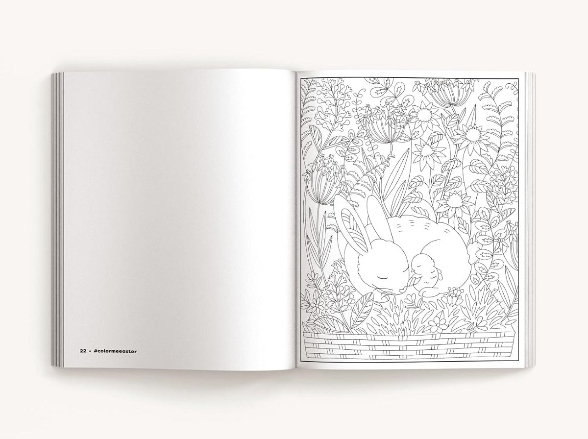 Color Me Easter: An Adorable Springtime Coloring Book