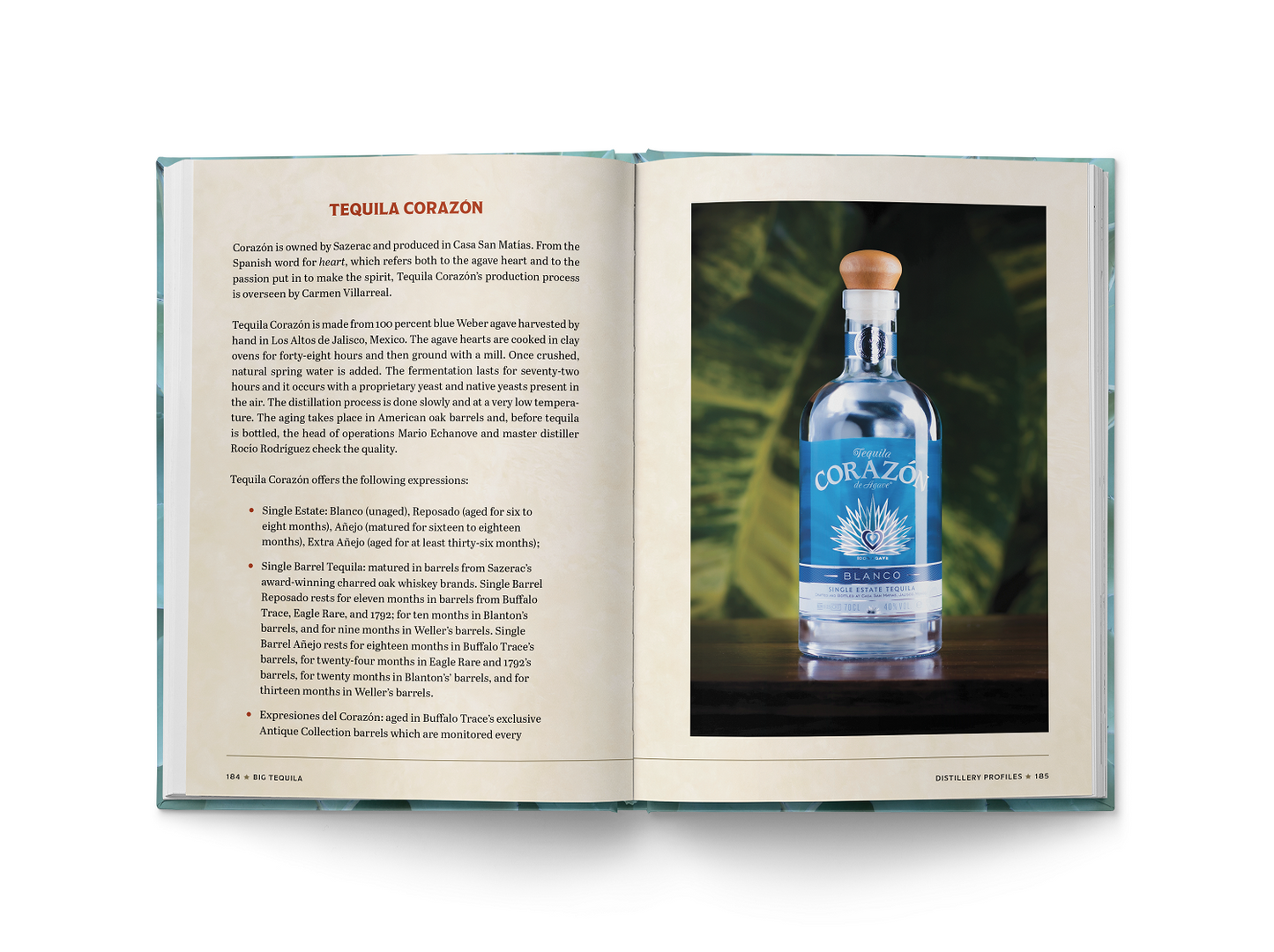 Big Tequila: A Comprehensive Guide to Agave Spirits