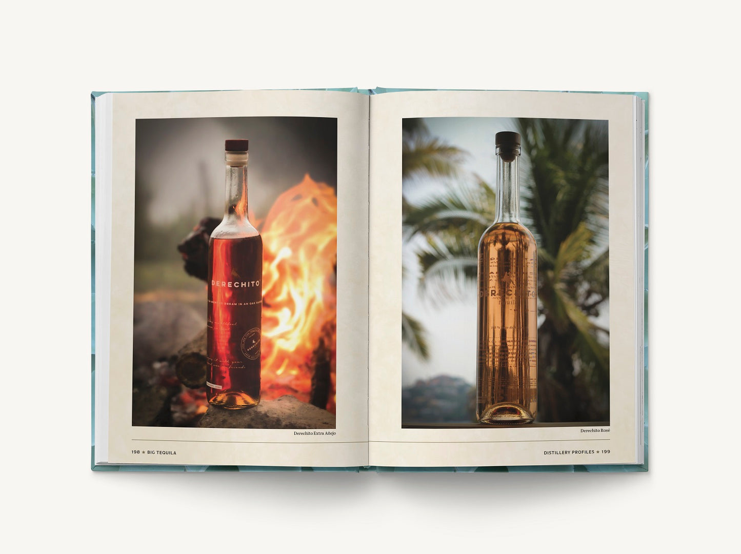 Big Tequila: A Comprehensive Guide to Agave Spirits