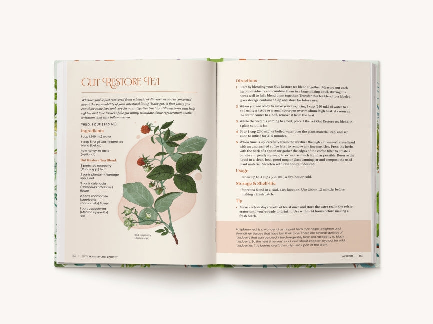 Nature's Medicine Cabinet: Seasonal Recipes & Remedies for a Year of Botanical Wellness