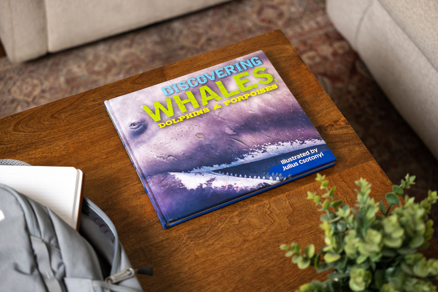 Discovering Whales, Dolphins & Porpoises: The Ultimate Guide to the Ocean's Largest Mammals