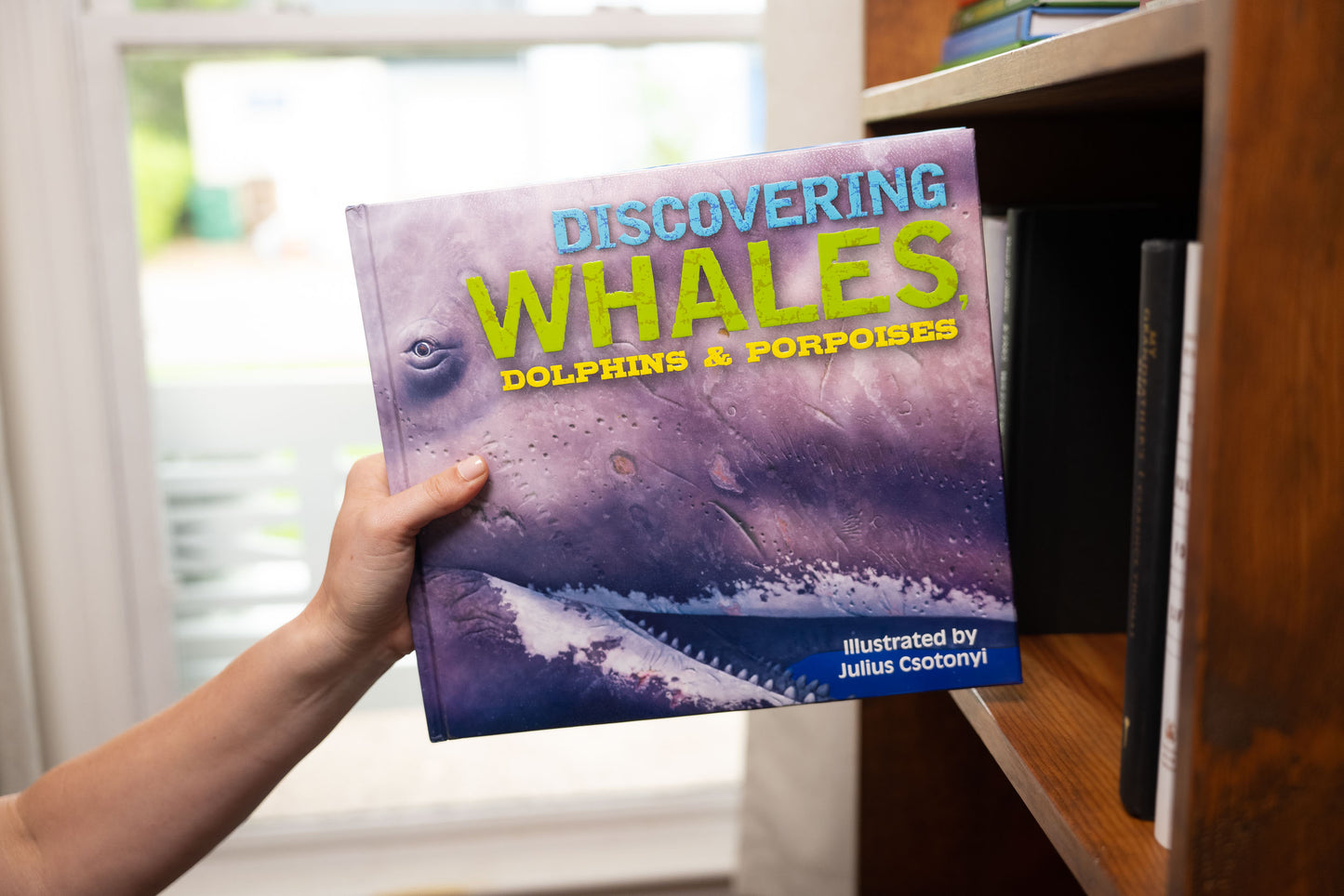 Discovering Whales, Dolphins & Porpoises: The Ultimate Guide to the Ocean's Largest Mammals