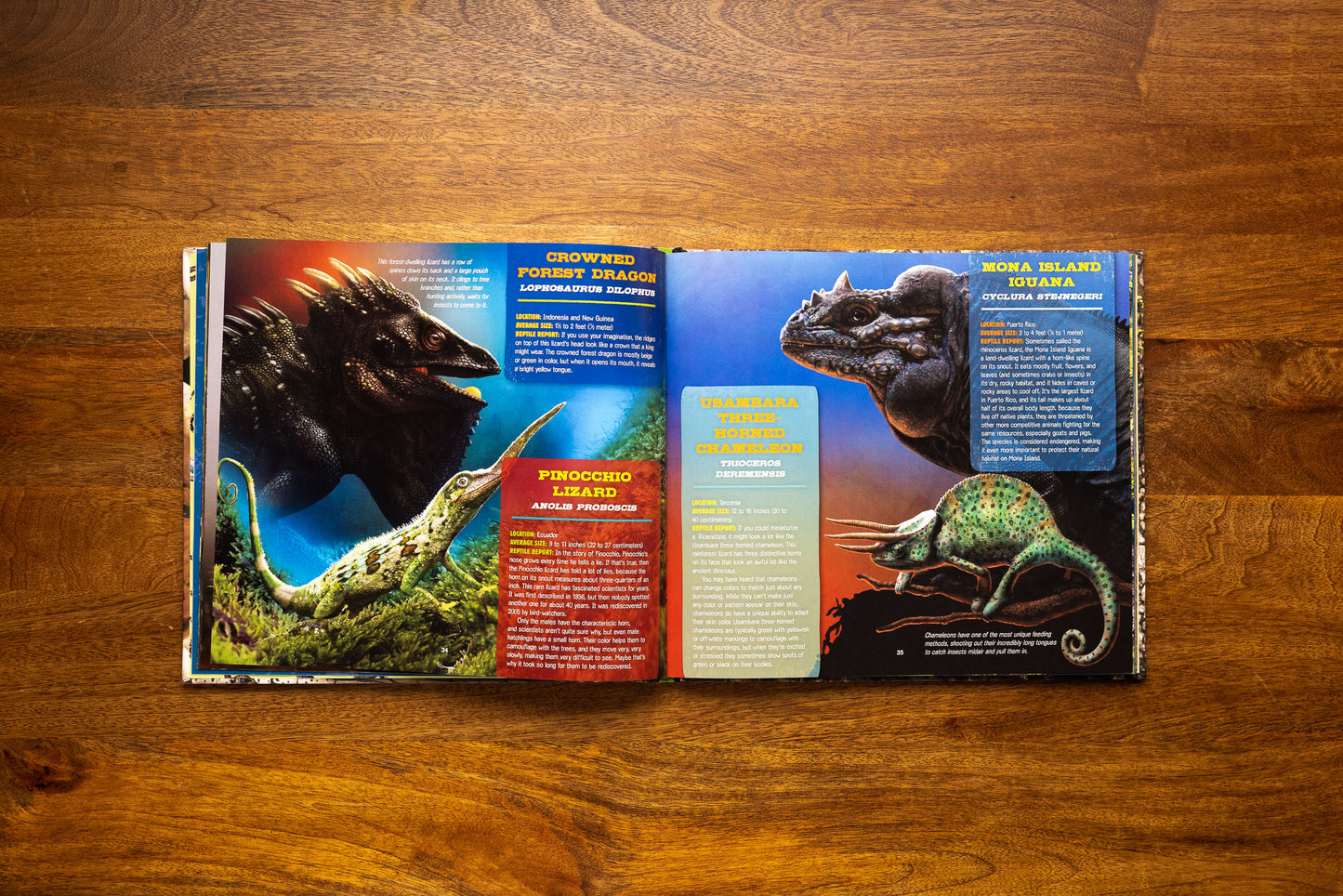 Discovering Reptiles: The Ultimate Handbook to the Reptiles of the World!