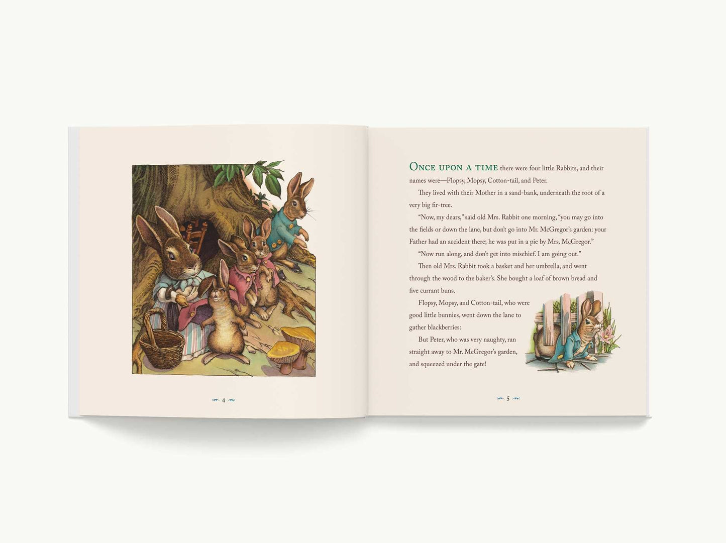 9781646433575