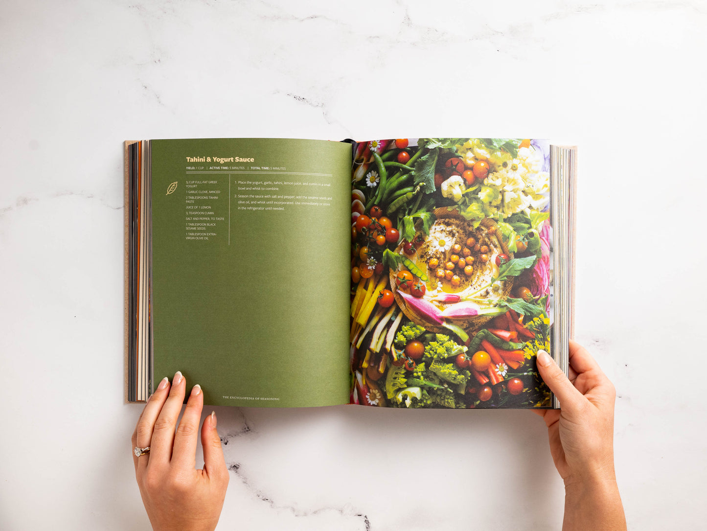 The Encyclopedia of Seasoning: 350 Marinades, Rubs, Glazes, Sauces, Bastes & Butters for Every Meal