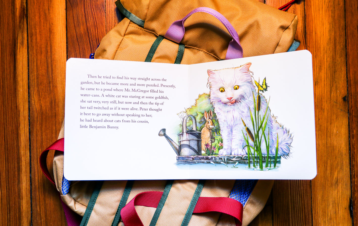 The Classic Tale of Peter Rabbit Board Book (The Revised Edition): Illustrated by acclaimed artist, Charles Santore