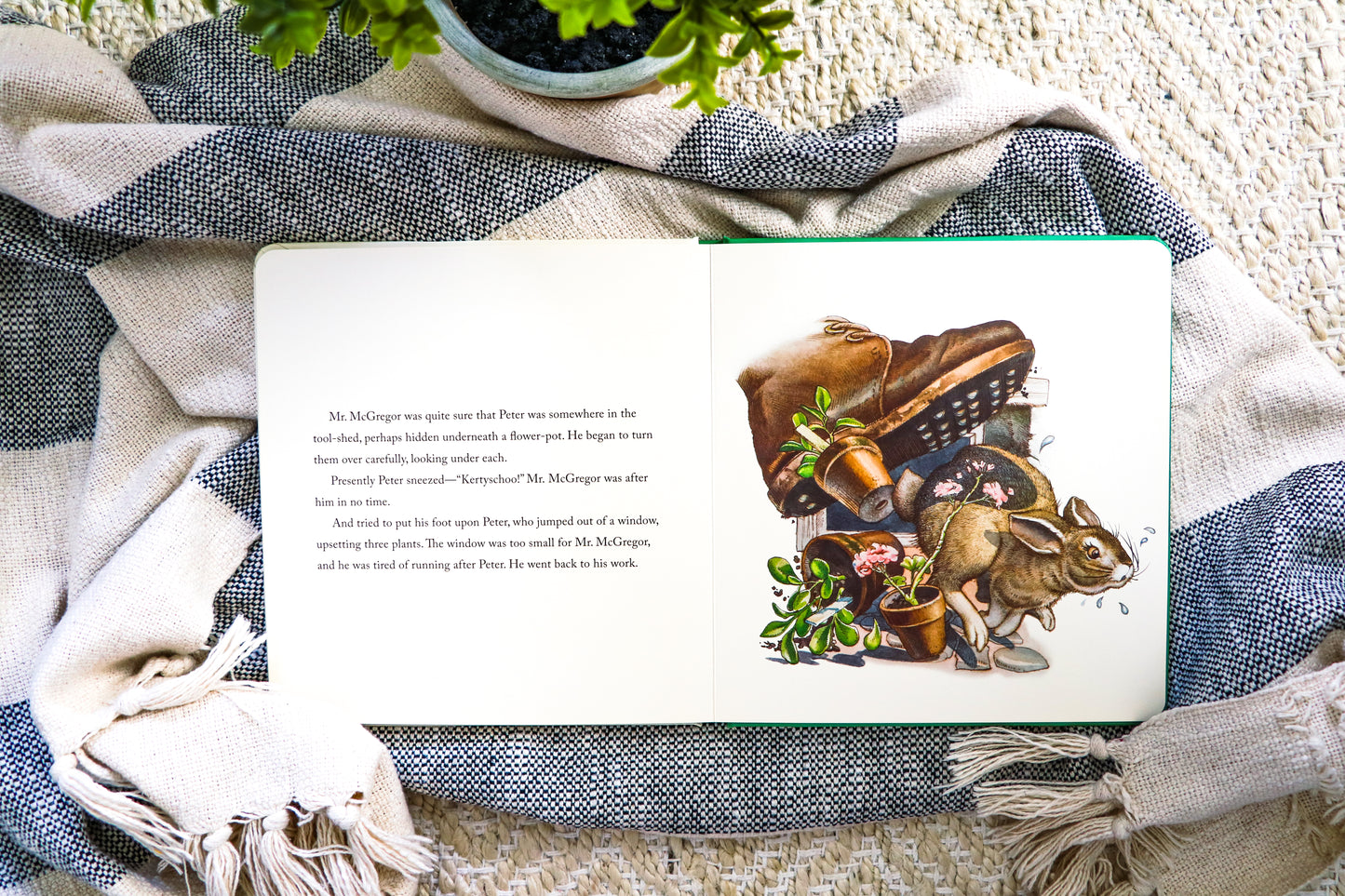 The Classic Tale of Peter Rabbit Oversized Padded Board Book (The Revised Edition): Illustrated by acclaimed Artist