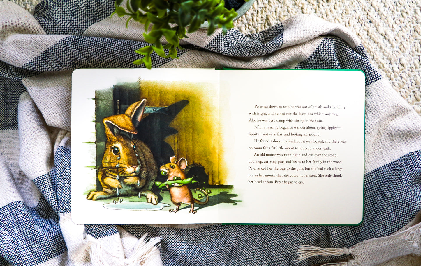 The Classic Tale of Peter Rabbit Oversized Padded Board Book (The Revised Edition): Illustrated by acclaimed Artist