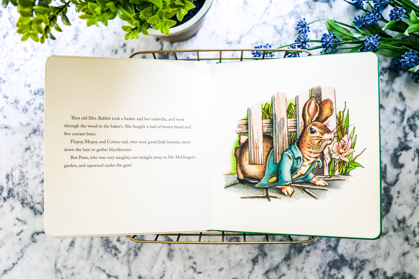 The Classic Tale of Peter Rabbit Oversized Padded Board Book (The Revised Edition): Illustrated by acclaimed Artist