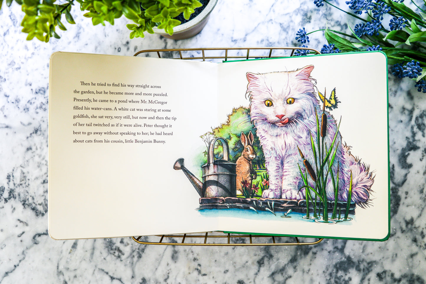 The Classic Tale of Peter Rabbit Oversized Padded Board Book (The Revised Edition): Illustrated by acclaimed Artist